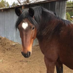 Meet your Posher, Cheryl